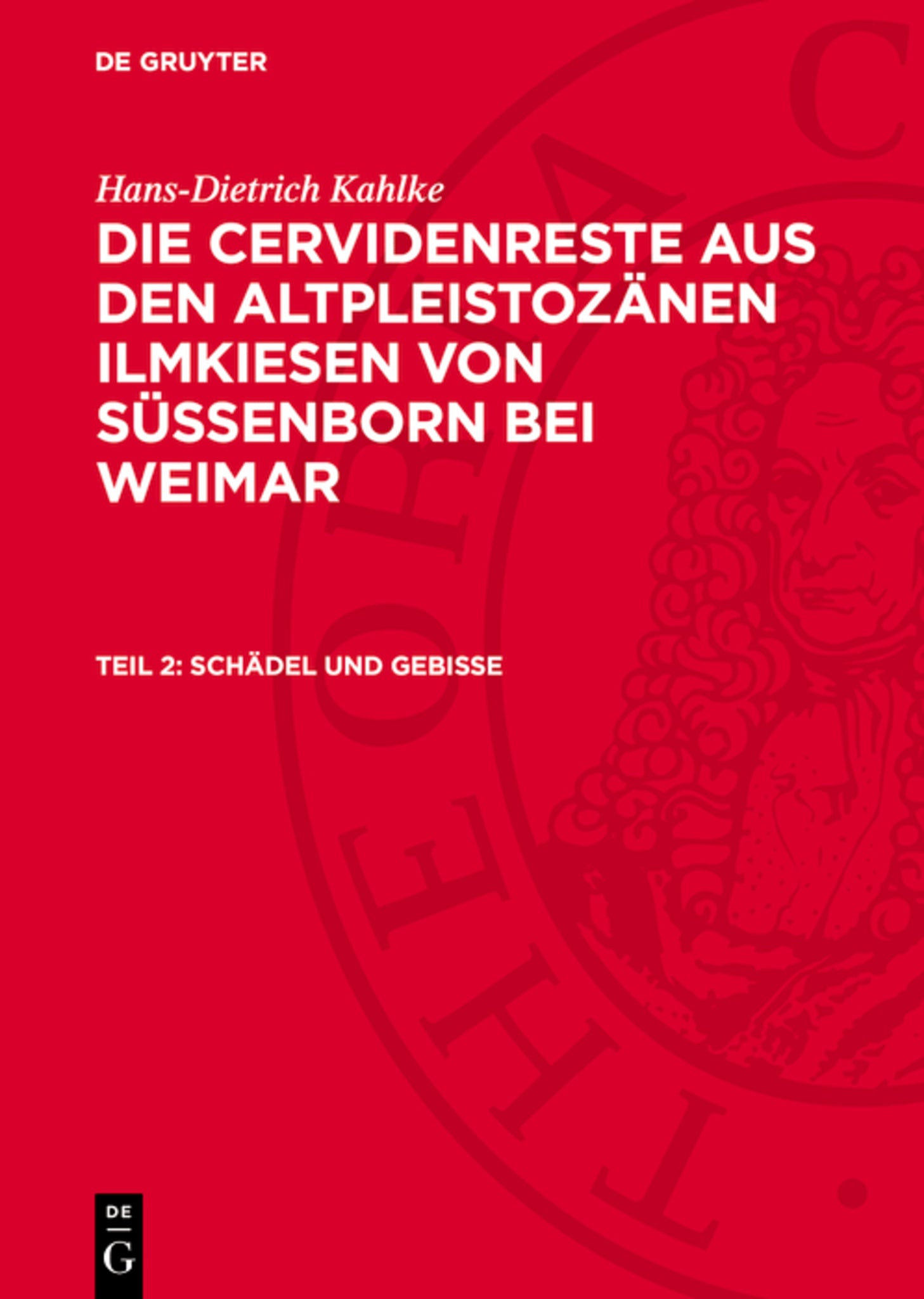 Schädel und Gebisse